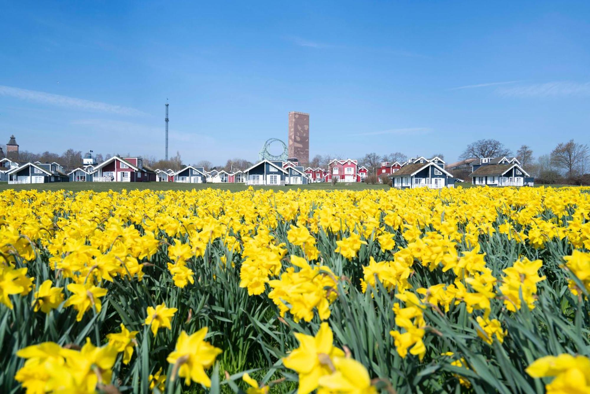 Strandpark Sierksdorf H087 Luaran gambar